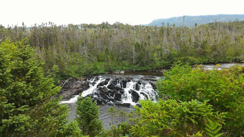 Bakers Brook Hiking Trail