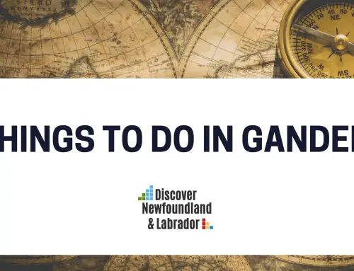 Things to Do In Gander Newfoundland and Labrador